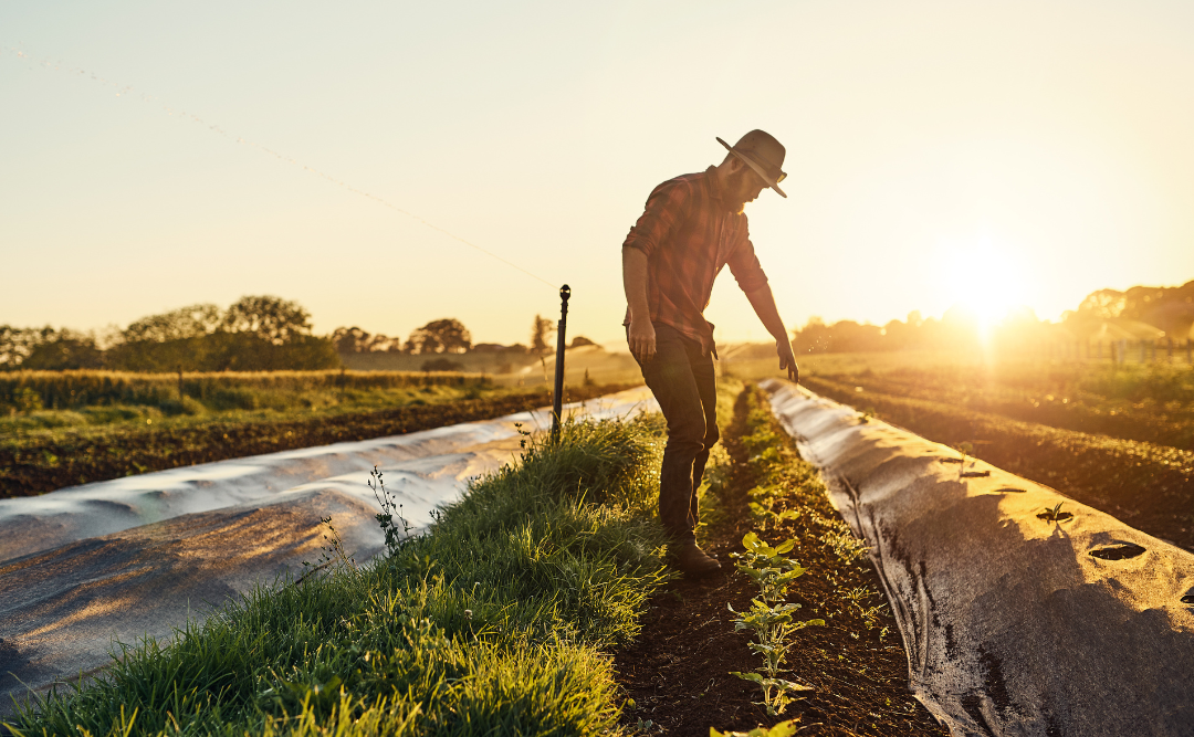 The Benefits of a Farm Succession Plan