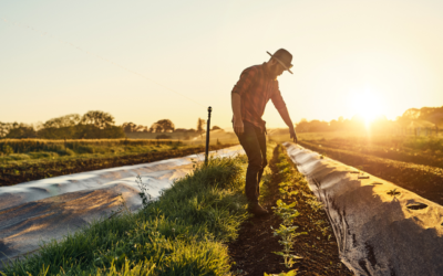 The Benefits of a Farm Succession Plan