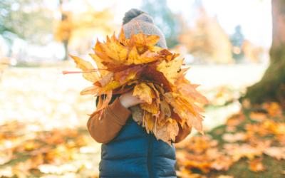 Changes to the Family Law Act 1975 – what you need to know