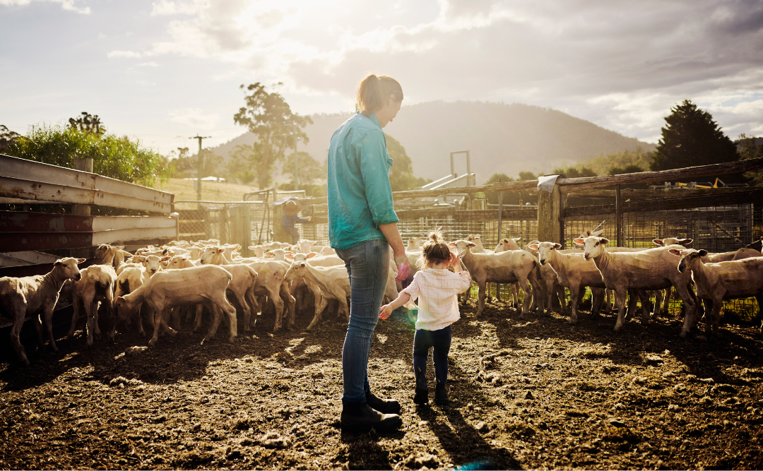 The Role of Daughters-in-Law in Australian Farm Succession Planning