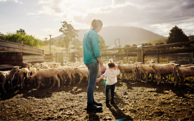 The Role of Daughters-in-Law in Australian Farm Succession Planning
