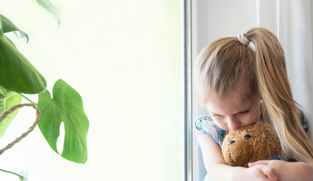 Understanding the new Coercive Control Law in NSW (July 2024)