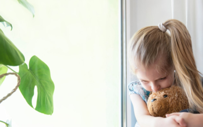 Understanding the new Coercive Control Law in NSW (July 2024)