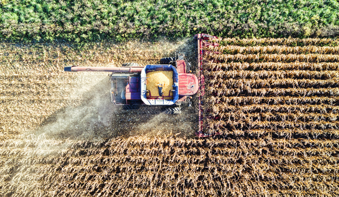 What is a Farm Succession Plan?